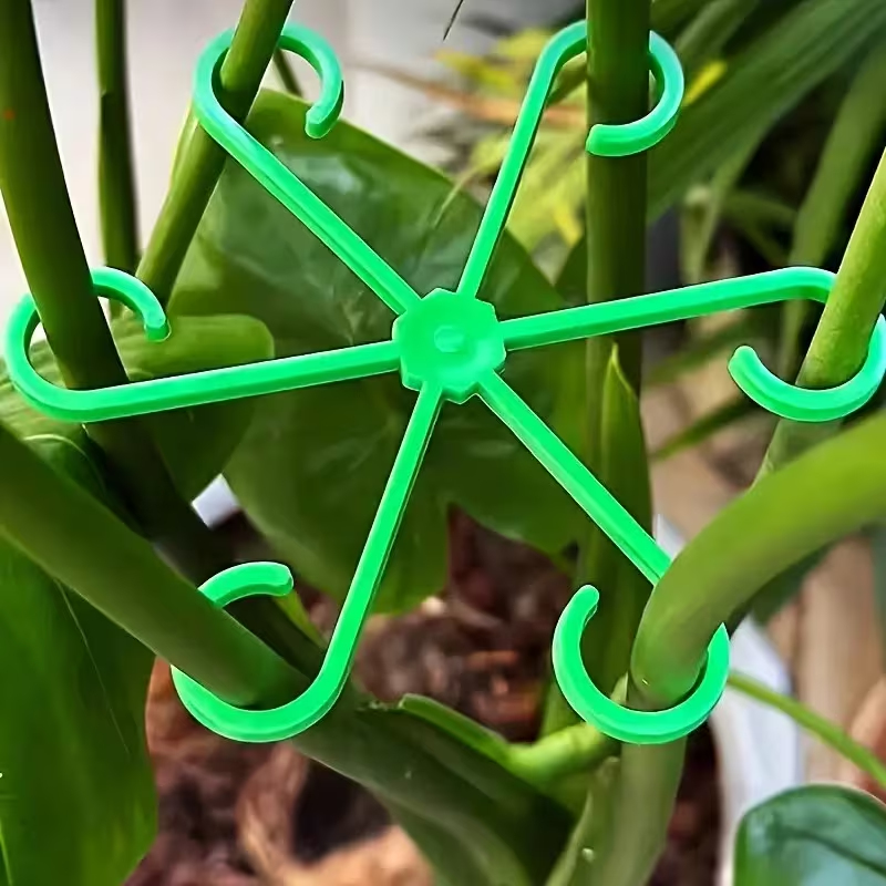 Variegated Monstera Node - Ensemble de 8 supports pour tiges