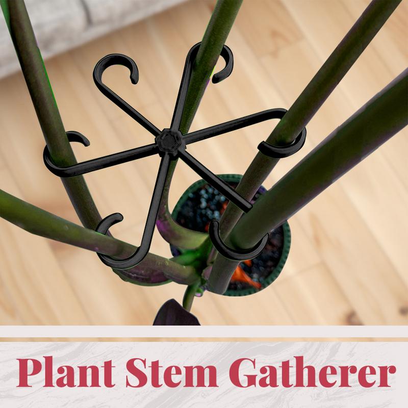 Clips de Support pour plantes  - Variegated Monstera Node avis et prix
