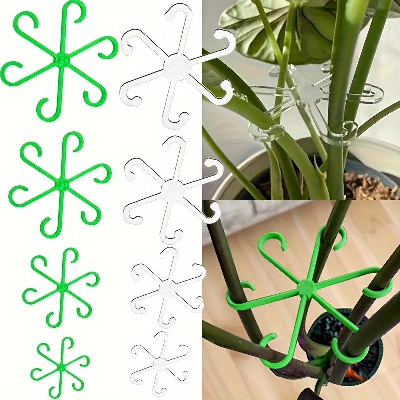 Lot de 4 pinces de support pou - Variegated Monstera Node avis et prix