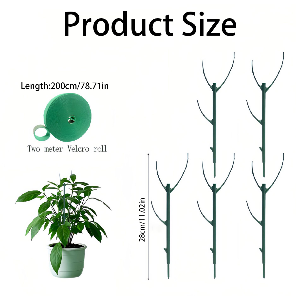 6 piquets de support pour plan - Variegated Monstera Node avis et prix