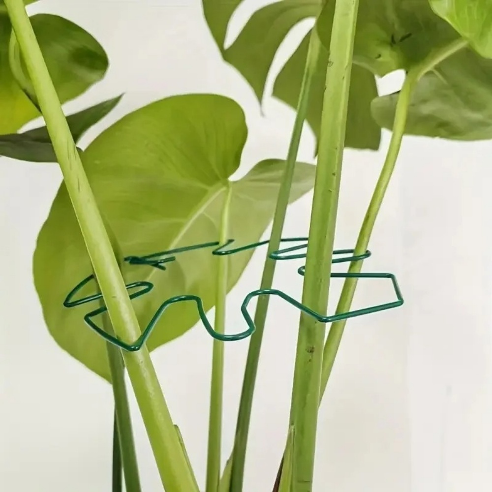 Support de plantes d'intérieur - Variegated Monstera Node avis et prix