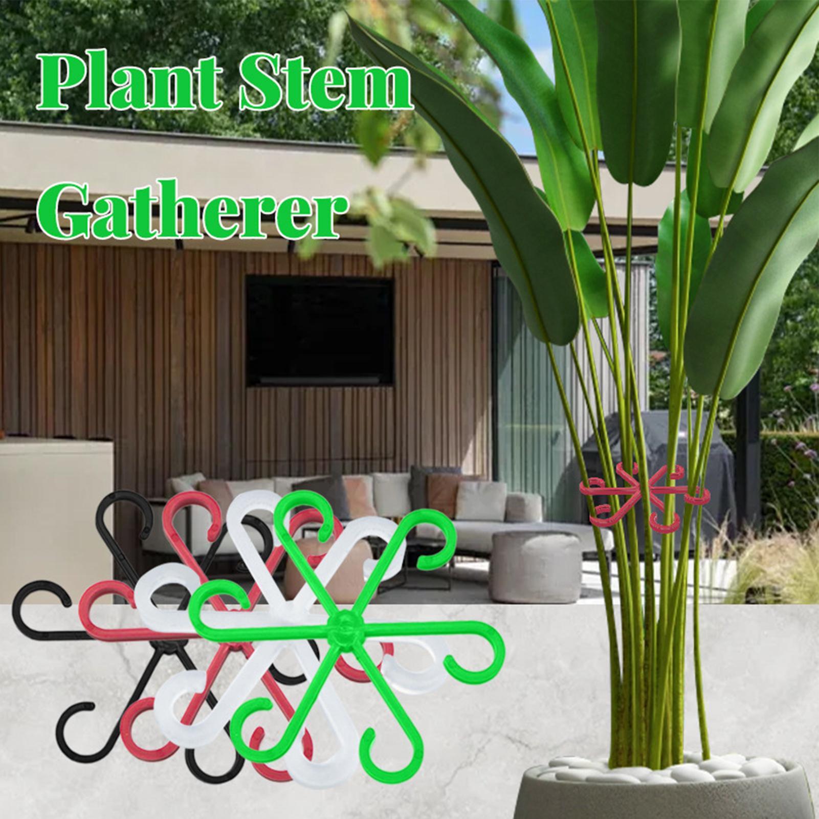 Lot de 4 pinces de support pou - Variegated Monstera Node avis et prix